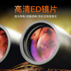 Eyeskey Binoculars 8x42 Waterproof Outdoor Use - Product Image 2