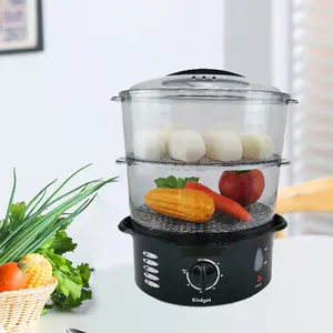 home usage plastic multifunction electric cooker 2-layer steam for house