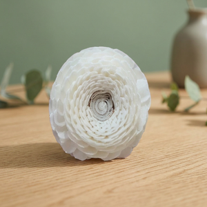 Lot de 5 cm de roseaux artificiels en bois de Sola blanc, séchés en Thaïlande, pour diffuseur, écologiques, pour décoration intérieure, fleurs et plantes - Product Image 3