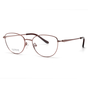 Phụ Nữ Xu Hướng Mới Titan Khung Cảnh Tượng Thời Trang Kính Cho Ladys - Product Image 6