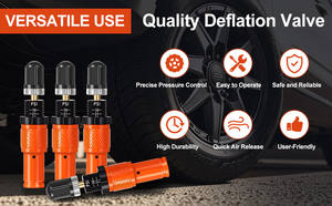 Hırs ayarlanabilir otomatik durdurma lastik deflatörü vana kiti (10-30 PSI) lastik hava aşağı aracı Offroad 4x4 vida-on otomatik lastik deflatörü - Product Image 5