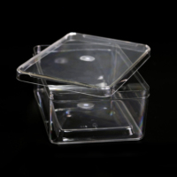 Boîte en plastique transparente rectangulaire sur mesure, boîte en acrylique transparente avec couvercle
