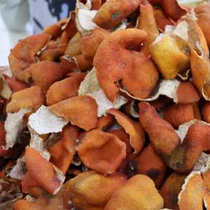 <span class=keywords><strong>Aceite</strong></span> Esencial <span class=keywords><strong>de</strong></span> Cáscara <span class=keywords><strong>de</strong></span> Mandarina 100% Puro y Natural al Por Mayor a Precio <span class=keywords><strong>de</strong></span> Mayoreo para el Cuidado <span class=keywords><strong>de</strong></span> la Piel y Difusores, Extraído <span class=keywords><strong>de</strong></span> Cáscara <span class=keywords><strong>de</strong></span> Mandarina Seca - Product Image 4