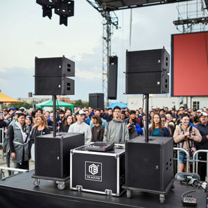 TB TR-10 Sistema Audio per Esterni Full Range in Metallo, Diffusore Line <span class=keywords><strong>Array</strong></span> in Legno a 2 Vie 4/8 Ohm 600W - Product Image 2