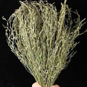 Striga Asiatica, Hierba para Malnutrición Infantil, Bozhou Anhui, Fresca y Seca, en Paquete para Sopa, 1 kg, Fulitang (Hai'er Cao, Hierba para Niños) - Product Image 2