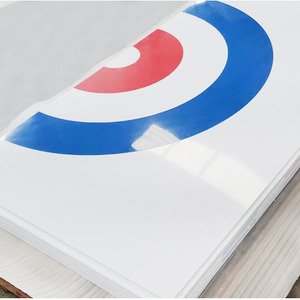 Uhmwpe mô phỏng Skateboard nhân tạo/tổng hợp ICE Rink - Product Image 5