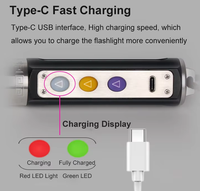 Lampe torche rechargeable UV LED à lumière violette pour l'identification des bijoux, en alliage d'aluminium et acier inoxydable, pour pierres précieuses et jade