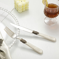 Luxuriöses Metall-Acryl Besteck-Set im Westlichen Stil mit Buff Wheel Polierung Elegantes Steakmesser Gabel und Löffel Geschenkset