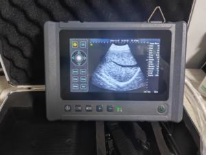 Escáner de Ultrasonido Veterinario Portátil a <span class=keywords><strong>Precio</strong></span> Económico, Instrumentos Médicos, Equipo de Ultrasonido Canino - Product Image 3