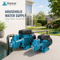 Pompe périphérique auto-amorçante électrique pour eau propre, à vortex de surface, 0,5 CV, avec turbine en laiton, pour l'approvisionnement domestique et l'irrigation des jardins