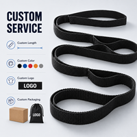 Conjunto de Correas de Yoga de Alta Calidad, Bandas de Resistencia No Elásticas, Ecológicas, de 100 lb, para Fisioterapia y Fitness