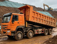 Truk Dump HOWO 8X4 12 Ban yang Tahan Lama dengan Sistem Pengangkatan Hidrolik Penuh untuk Pengangkutan Sampah Konstruksi dan Bijih