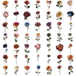 50 Stück PET wasserdicht transparent unfading getrocknete Rose Blumen aufkleber personal isierte Cartoon-Stil Cartoon-Aufkleber - Product Image 3