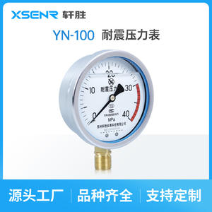 เกจวัดแรงดันทนแรงกระแทก Suzhou Xuansheng Yn100 40Mpa  ตัวเรือนสแตนเลส  ข้อต่อเกลียว  เส้นผ่านศูนย์กลาง 100 มม. - Product Image 5