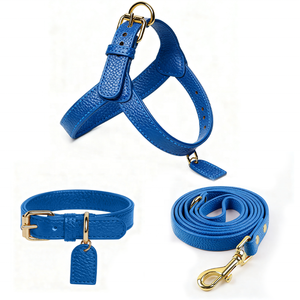 Desain warna kustom anak anjing tanpa tarik kerah pegangan leher & dada dapat diatur sedang besar tali kekang anjing dan Set - Product Image 1