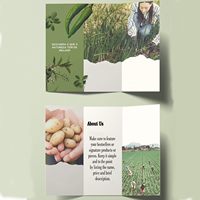 Brochures et dépliants personnalisés haut de gamme pour entreprises - Services d'impression professionnels