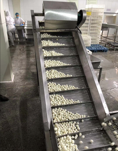 TRỨNG CÚT Trung Quốc Xuất Khẩu Hộp Trứng Cút LUỘC ĐÓNG Hộp Trứng Cút Đóng Hộp Không Có Vỏ - Product Image 5