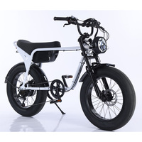 Usine OEM 15.6Ah e-bike 20*4.0 gros pneu vtt e-vélo 500w 750w VTT électrique