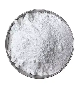 Factory Supply Titanium Dioxide PW6 CAS 13463-67-7 C. I. Pigment White 6
