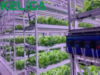 Étagère de culture verticale pour serre hydroponique intérieure