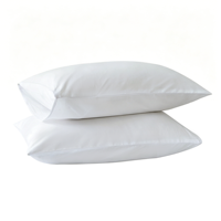 Ensembles de couette de luxe King/Queen Size Literie Remplissage de fibres Couette Couette de remplissage Couette Vente chaude 100-600gsm Taille personnalisée