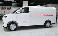 Ruichi EC75, véhicule utilitaire léger électrique à conduite à gauche, mini-fourgonnette électrique, fourgonnette de livraison de marchandises