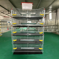 Équipement d'élevage avicole commercial de conception Higer, alimentation automatique de volailles, type H, pour 300 cailles pondeuses sur 5 niveaux