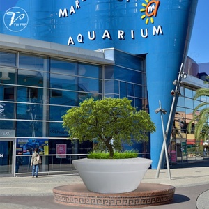 Fiberglass <b>Large</b> Modern Style Hand Carved Finish Floor Use Garden Treepot Flower <b>Planter</b> Pot for Outdoor Mounted Rolling Pulley - Product Image 4