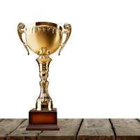 Ballons de football, ballons de basket, trophées de compétition sportive, médailles et trophées en métal doré personnalisés de haute qualité
