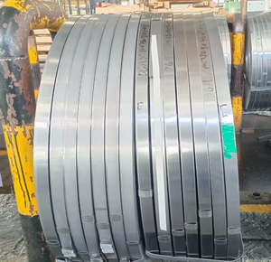 Fleje de Acero para Resortes Laminado en Frío de Alta Calidad, 0.5mm 0.6mm, Grado DC01, Tolerancia del 0.1%, Estándar ASTM, Aplicación en Placas de Envío - Product Image 1