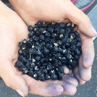 Premium Wilde Zongedroogde Zwarte Gojibessen Hoge Anthocyanine Voedzame Gedroogde Vruchten Veganistische Snack Wereldwijde Distributeur Groothandel