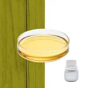 Protoga venda quente OEM nutritivo Schizochytrium Extração natural DHA mcroalgea Oil