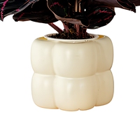 Pot de fleurs auto-arrosant en résine plastique épaissie, design à trois couches de bulles, respirant, translucide, résistant à la corrosion