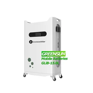Greenusn 51.2V 200Ah 280AH 10kwh lithium battery with the wheel bms 10kwh 15kwh 20kwh for home storage