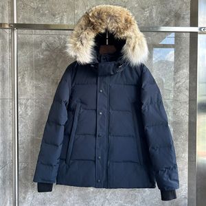 เสื้อโค้ทแจ็คเก็ตผู้ชายรุ่น 2026 Luxury Expedition Goose สไตล์ลำลอง แฟชั่นวินเทจ 100% สำหรับกิจกรรมกลางแจ้ง กันลม ปิดด้วยซิป ให้ความอบอุ่น เหมาะสำหรับกรณีฉุกเฉิน - Product Image 3