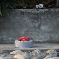 Jardinière en béton cylindrique courte gris clair, style thérapeutique, très vendue, spéciale succulentes, respirante, mate, vente en gros