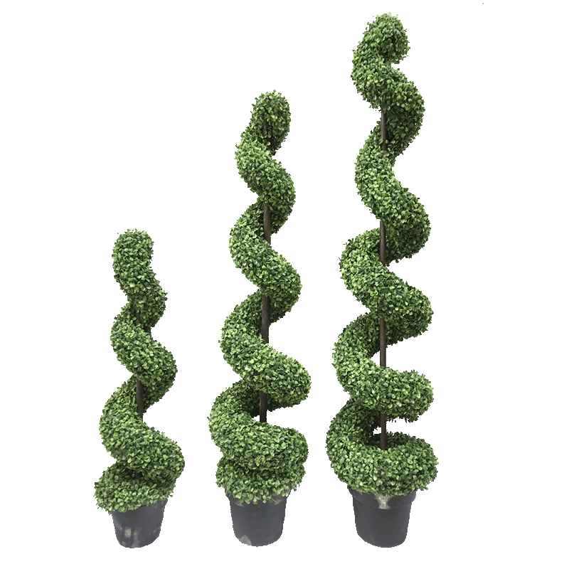 Albero a spirale