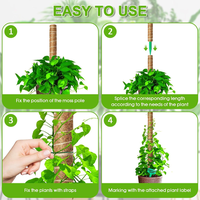 Supports de plantes en fibre de coco modernes, poteaux en mousse pour plantes grimpantes, jardin et serre
