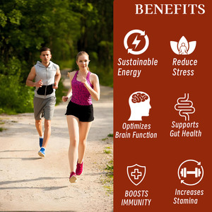 Gomitas de Matcha Adaptógenas de Marca Privada OEM con Cordyceps y Reishi para el Bienestar de Adultos, Refuerzo del Sistema Inmunológico y Apoyo a la Salud Digestiva - Product Image 4