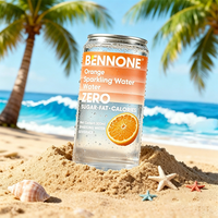 Offre Spéciale – Boissons Gazeuses Personnalisées Saveur Citron Vert 300ml en Bouteille PET – Eau Sans Sucre