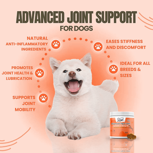 Hunde immune Unterstützung Soft Chews-Advanced Joint Health <span class=keywords><strong>Supplement</strong></span> Glucosamin Kurkuma Hanföl 120 Count Fast Absorption - Product Image 2