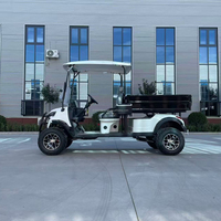 Nouveau design de véhicules utilitaires : Voiturette de golf électrique 4x4 pour 1 ou 2 passagers, Buggy de golf, Buggy des dunes, Véhicule utilitaire
