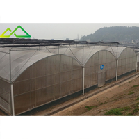 Commerciële multispan kas van polyethyleenfolie en verzinkt staal voor efficiënt kweken van groenten, fruit en bloemen