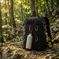 Mousqueton personnalisé en alliage d'aluminium de 40 mm avec logo, forme en D, crochet à ressort, porte-clés pour accessoires de camping en plein air et sacs à dos