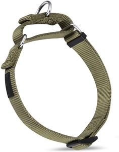 Collar antirrobo de nailon para mascotas, collarín de alta resistencia mejorado para perros, entrenamiento y caminar - Product Image 2