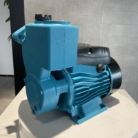 Pompe périphérique électrique de haute qualité 1 HP pompe de surpression à eau auto-amorçante
