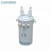 Transformateur de neutre monophasé monté sur poteau EVERPOWER 25KVA 7620kv