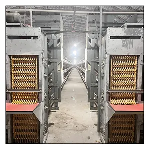 Fournisseur d'usine équipement de ferme avicole système automatique de cage de batterie de poulailler pour 10000 poulets de couche
