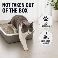 Litière pour chat en bentonite à structure soluble optimisée, agglomération rapide, désodorisation complète, faible teneur en poudre, design à rinçage rapide, fournitures pour animaux de compagnie
