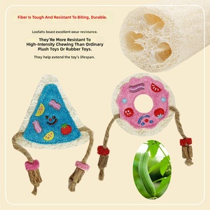 Nouveau jouet créatif pour chat en éponge de loofah écologique 2026 avec fonction lumineuse pour le nettoyage des dents, idéal pour le jeu interactif et la lutte contre <span class=keywords><strong>l</strong></span>'ennui - Product Image 4